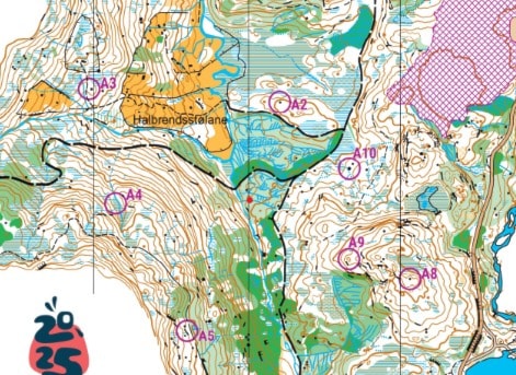 Kurs i kart og kompass